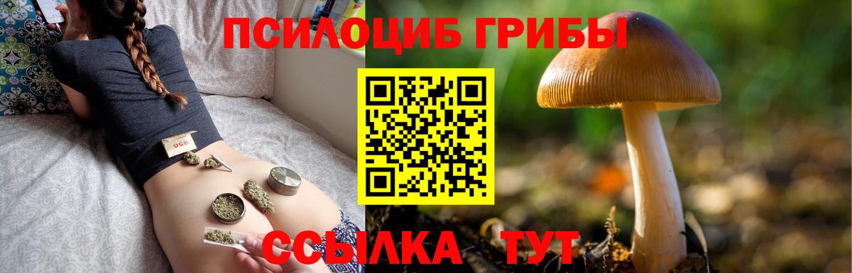 закладка  Псилоцибиновые грибы GOLDEN TEACHER  Вход с VPN  Реж 